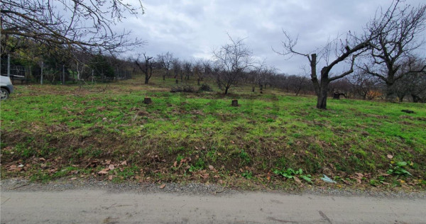 RECO Teren in Oradea