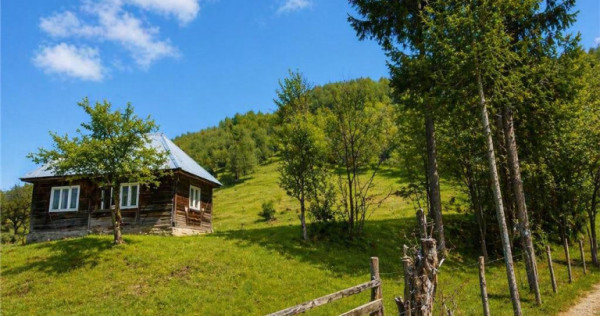 Teren la poalele padurii,Buzaiel,Vama Buzaului,DJ,constructi