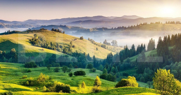 Teren agricol, comasat, irigat, 755000 mp, lanaga autostrada