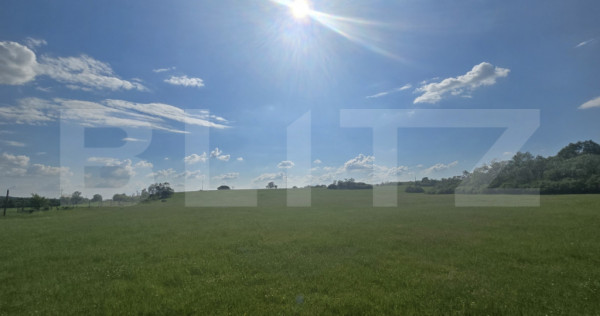 Teren agricol, comasat, apa, curent, 755000 mp, langa autost