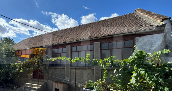Casă veche cu teren generos &icirc;n vatra veche Șag