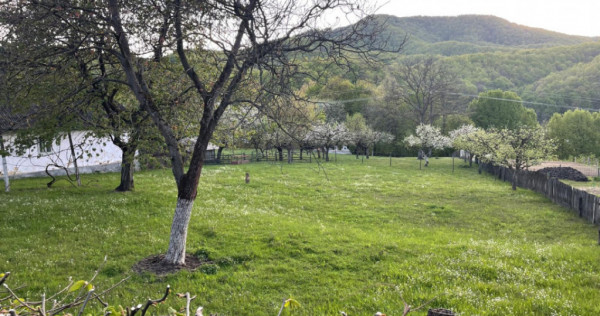 FIRIZA, oportunitate teren pentru constructie Casa