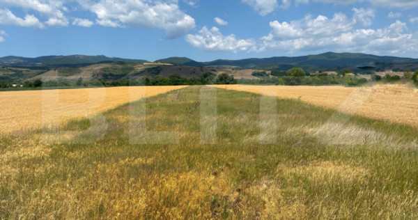 Teren extravilan de vanzare-10.400 mp, zona Vintu de Jos