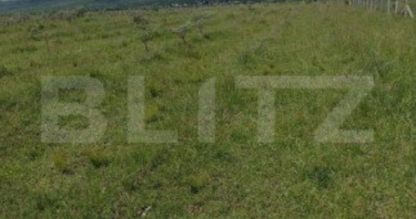 Teren De Vanzare Sesul Jelni, 5 Hectare