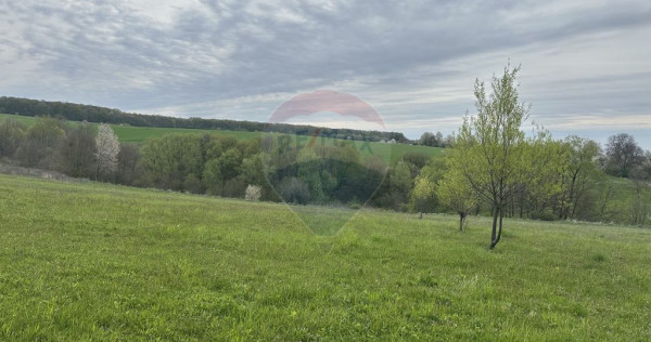 Teren 3,000mp Oslobeni / Strada Oslobeni punct GRADINA