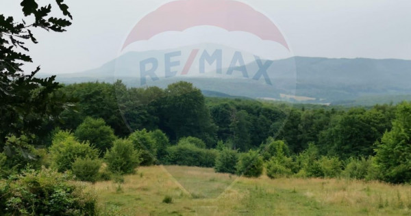 Teren ideal pentru glamping &icirc;n Vlădeni, aproape de Brașov