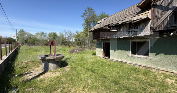 Teren 2000 mp și casa bătr&acirc;nească, zona Pestisani