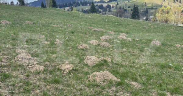 Teren &icirc;n Vatra Dornei, str Roșu, 8450 mp, extravilan + int
