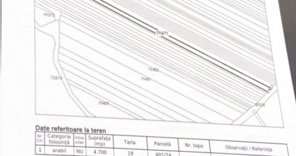 Teren extravilan de v&acirc;nzare, 4700 mp, zona Teiș &ndash; Sot&acirc;n