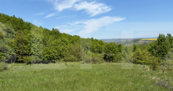 Exclusivist! Teren extravilan de 1884mp cu view panoramic Ch
