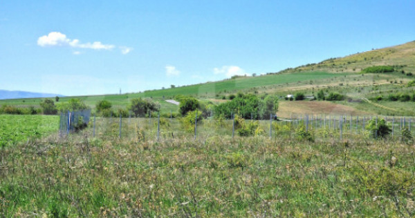 Teren de 1000mp, front 20mp, acces la strada, extravilan, Do