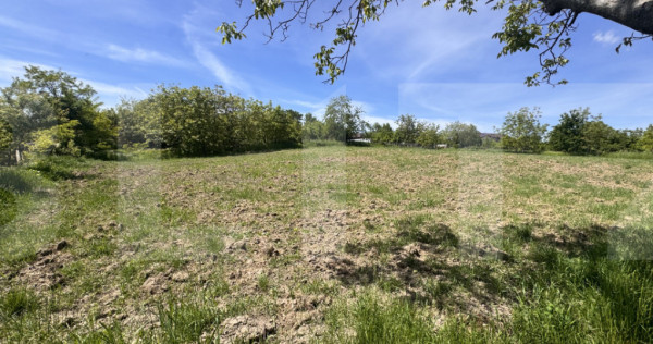 Teren intravilan, 1600 mp, sat Cucorani