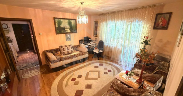 Apartament cu 2 camere la parter cu balcon - Brazda lui N...