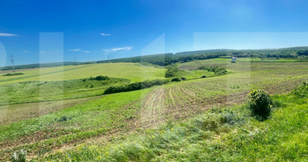 Teren intravilan de v&acirc;nzare &ndash; St&acirc;ncești, la stradă