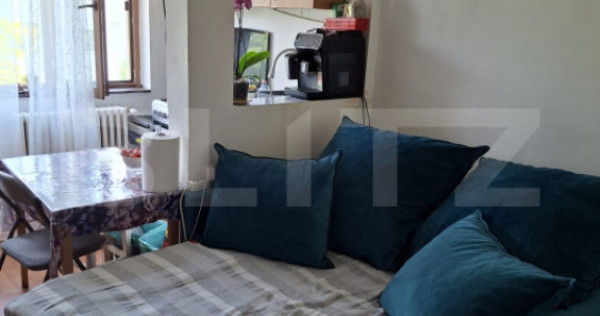 Cameră cămin, 21 mp, baie proprie, bucatarie, zona Pacurar