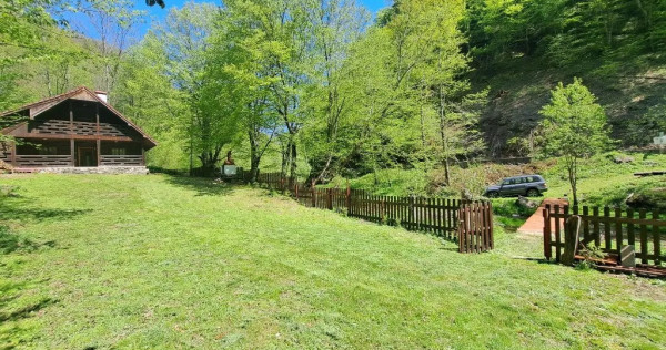 Casa din lemn cu ieșire direct pe Transalpina / Sugag, Alba.