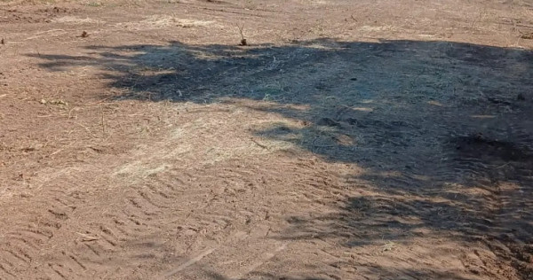 Teren intravilan Piscu 2000mp
