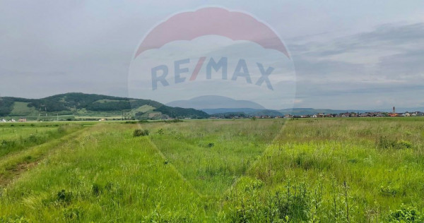 Comision 0% | 4 Parcele 538mp | Harman, Strada MIHAIL SAD...