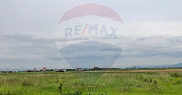 Comision 0% | 4 Parcele 538mp | Harman, Strada MIHAIL SAD...