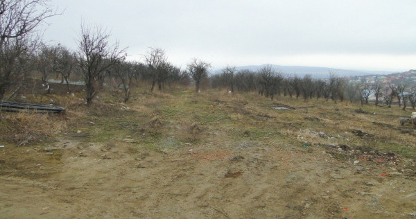 Teren intravilan , Bucium Barnova