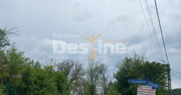 Pădure de v&acirc;nzare &ndash; 17 ha &ndash; valea mare, comuna Bailesti