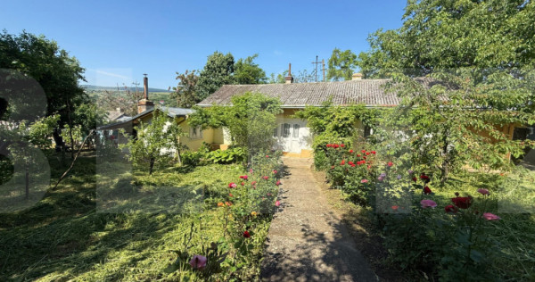 Casă bătr&acirc;nească cu 2 fronturi stradale, 3095 mp teren,
