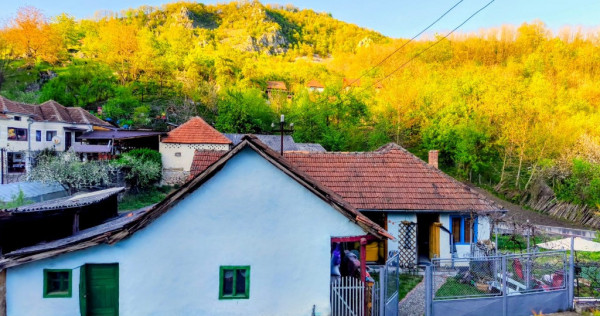 Casă la țară cu piscina &icirc;ncălzită Boiu De Sus, Hunedoara