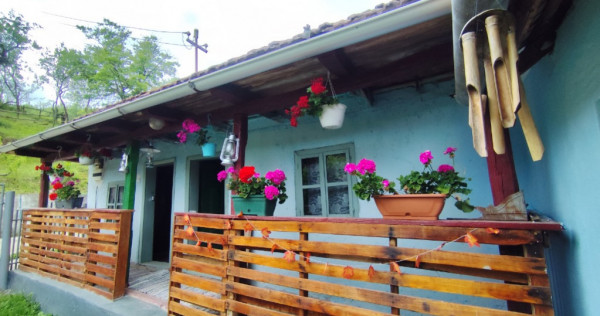 Casă la țară cu piscina &icirc;ncălzită Boiu De Sus, Hunedoara