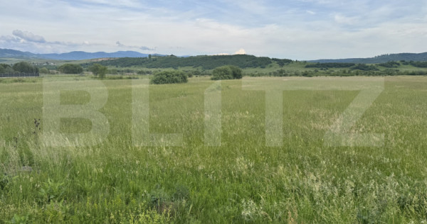 5500 mp de teren extravilan, direct la drumul national