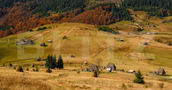 Terenuri extravilane de 14 Ha, &icirc;n localitatea Ocoliș