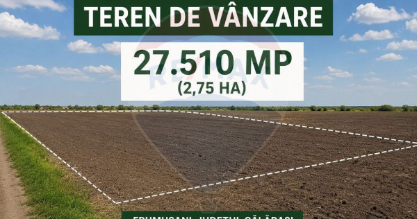 Teren de v&acirc;nzare Frumusani Postavari Călărași