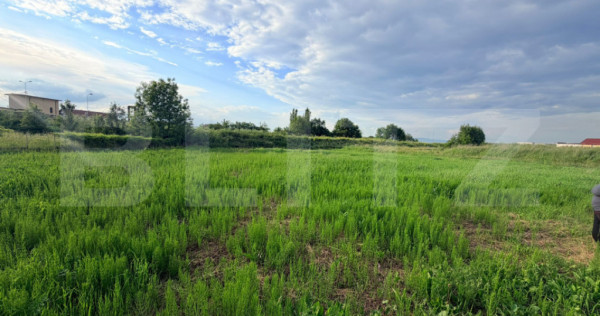 Teren intravilan de v&acirc;nzare, 1200 mp &ndash; Stupini 88.000 eur