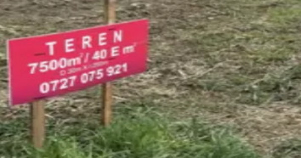Balotesti Teren intravilan construcții case 7500 mp