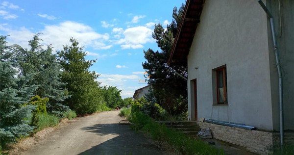 Hala industriala Casa 9650 mp teren