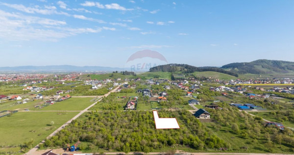 Teren intravilan de 1.136 mp, S&acirc;npetru, zona livadă!