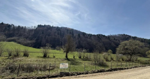 Teren Extravilan Zizin/Tarlungeni 7300 mp