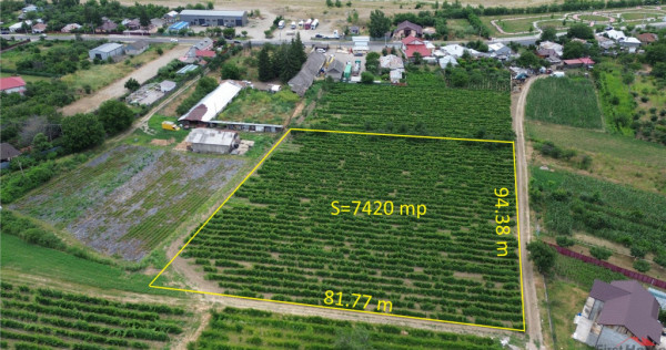 Teren de , 7425mp, Unirea Odobesti - Extravilan