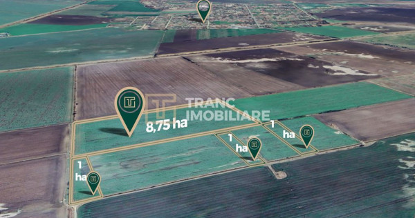 Teren agricol de 11,75 ha de v&acirc;nzare, la 1,5 km de Turnu...
