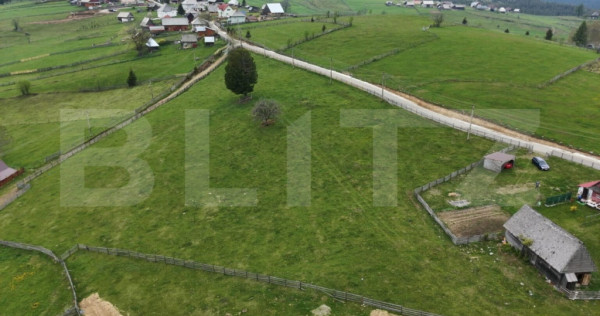 Teren 10.000 mp, cu 2 case, de vacanta, zona Măguri-Răcăt