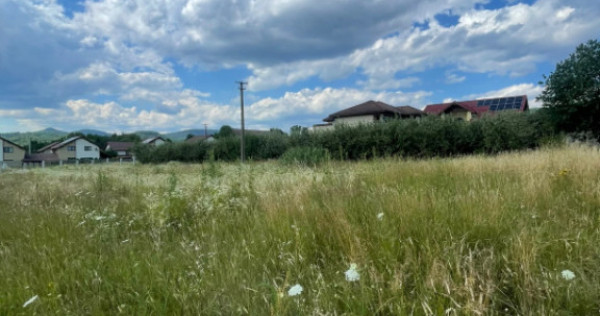 Teren intravilan, toate utilitatile, 14,56 arii, zona Drurel