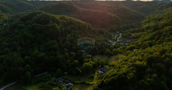 Casă de v&acirc;nzare cu teren 2.340 mp și p&acirc;r&acirc;u propriu ?...