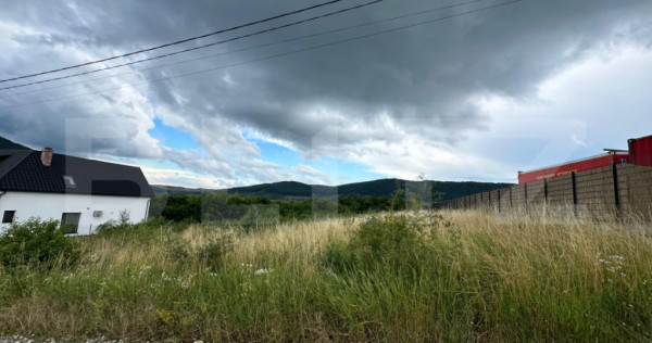 Teren de v&acirc;nzare &ndash; Viișoara, spre Crainimăt | 2.500 mp