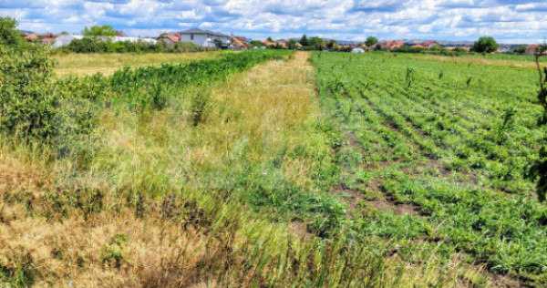 Teren intravilan, 2296 mp, zona Jucu de Mijloc