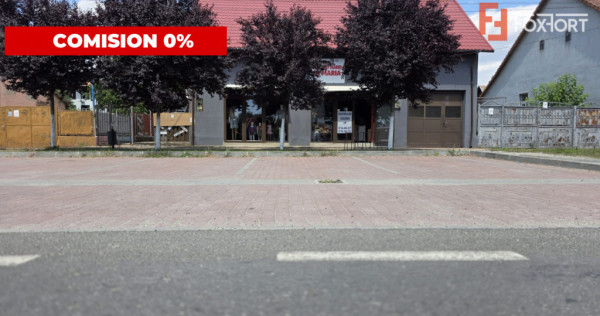 Casa individuala cu 4 camere + 2 spatii comerciale - Gataia