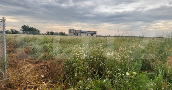 Teren intravilan de v&acirc;nzare, 536 mp/lot, zona Ulmi