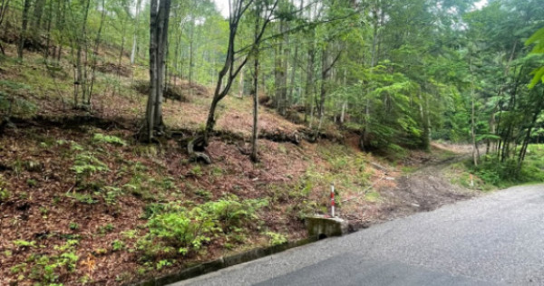 Teren intravilan, 2.6 ha, zona Complex Turistic Suior