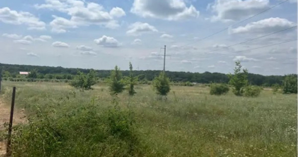 Vand teren intravilan Branesti 1036 mp direct proprietar