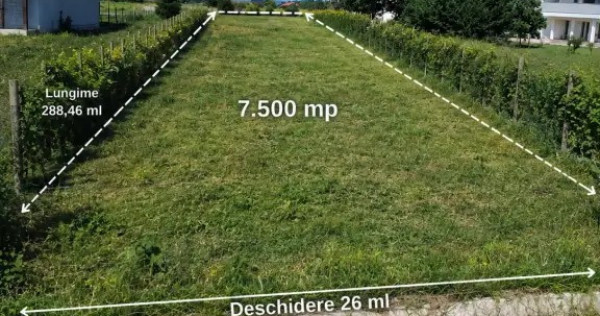 Teren intravilan | Lamotești, comuna Milcov, Vrancea
