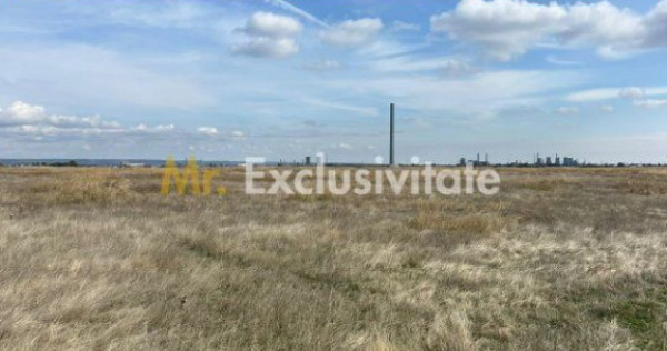 Teren 10.000 mp zona industriala Albota 10 euro mp -Arges