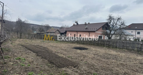 Teren intravilan 1 304 mp - Calinesti- Gorganu-Arges!